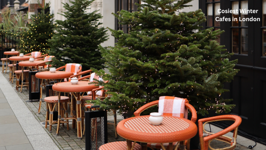 Cosiest Winter Cafes image