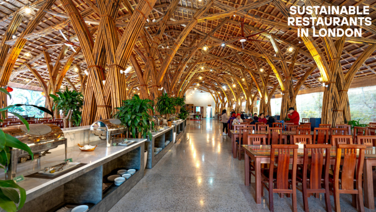 Sustainable restaurants image